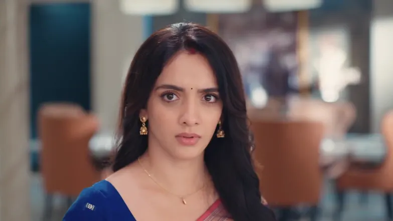 Jagadhatri - January 30, 2026 - Webisode 30th January 2026 Webisode