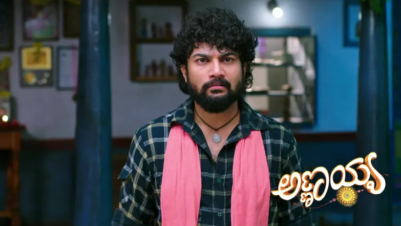 Annayya - January 26, 2026 Episode 384