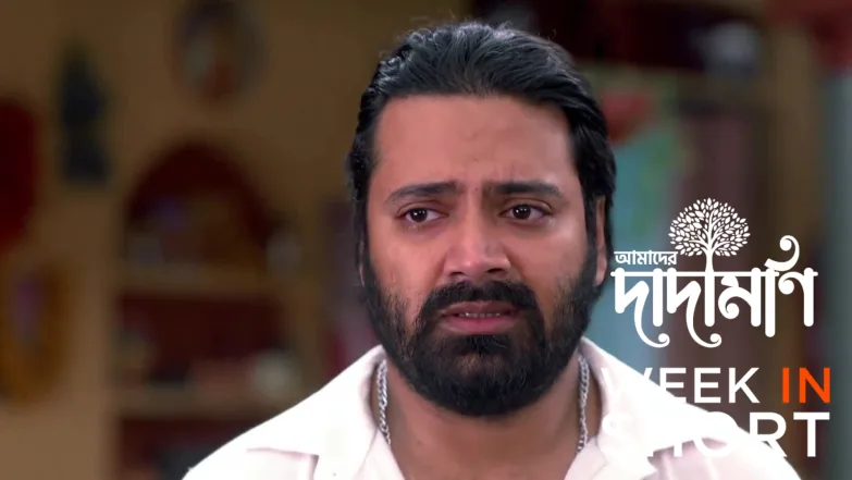 Amader Dadamoni | January 19 - January 24, 2026 25th January 2026 Webisode