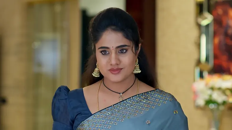 Jagadhatri - February 03, 2026 - Webisode 3rd February 2026 Webisode