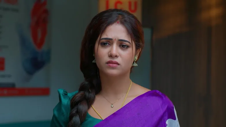 Lakshmi Nivasam - February 02, 2026 - Webisode 2nd February 2026 Webisode