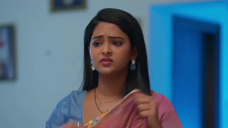 Lakshmi Nivasam - February 04, 2026 - Webisode 4th February 2026 Webisode
