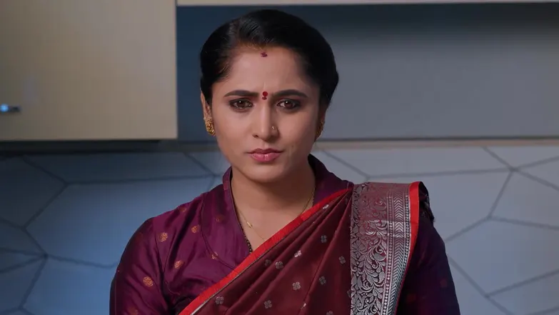 Meghasandesam - February 07, 2026 - Best Scene 