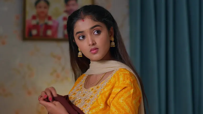 Meghasandesam - February 03, 2026 - Episode Spoiler