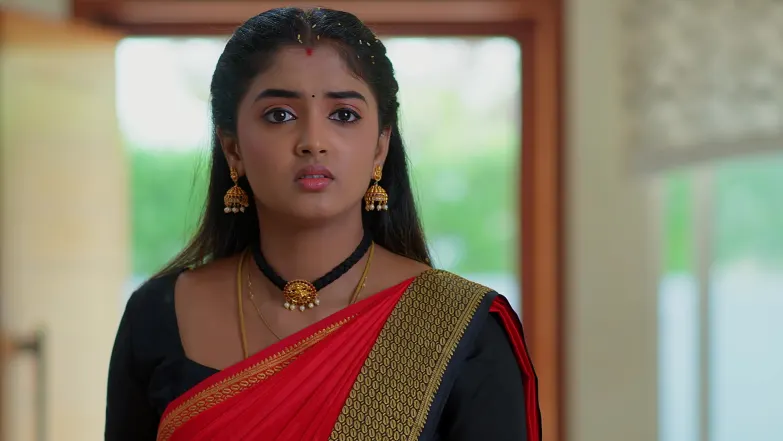 Meghasandesam - February 09, 2026 - Episode Spoiler