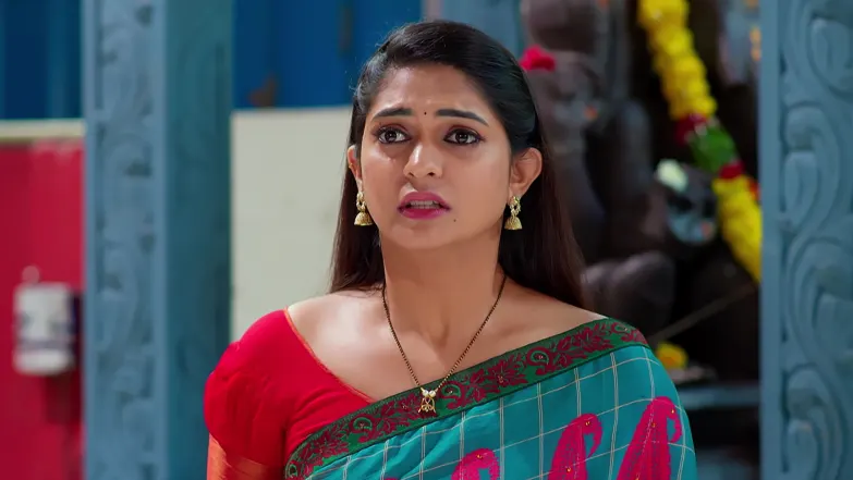 Nindu Noorella Saavasam - February 05, 2026 - Episode Spoiler