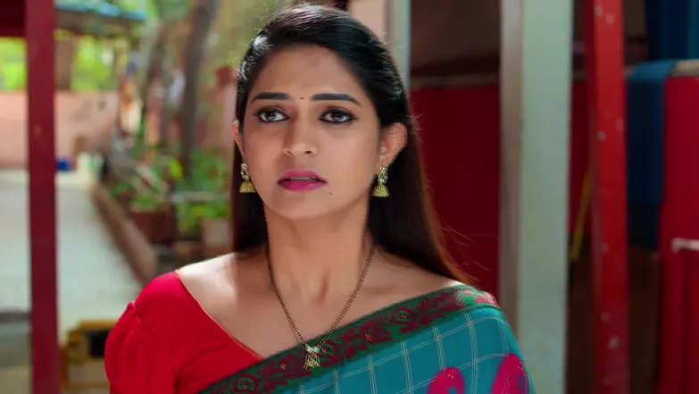 Nindu Noorella Saavasam - February 05, 2026 - Episode Spoiler