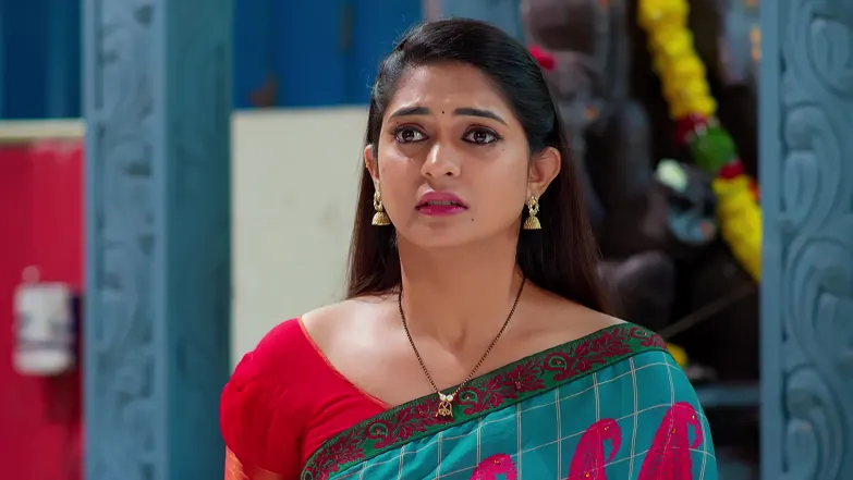 Nindu Noorella Saavasam - February 04, 2026 - Episode Spoiler