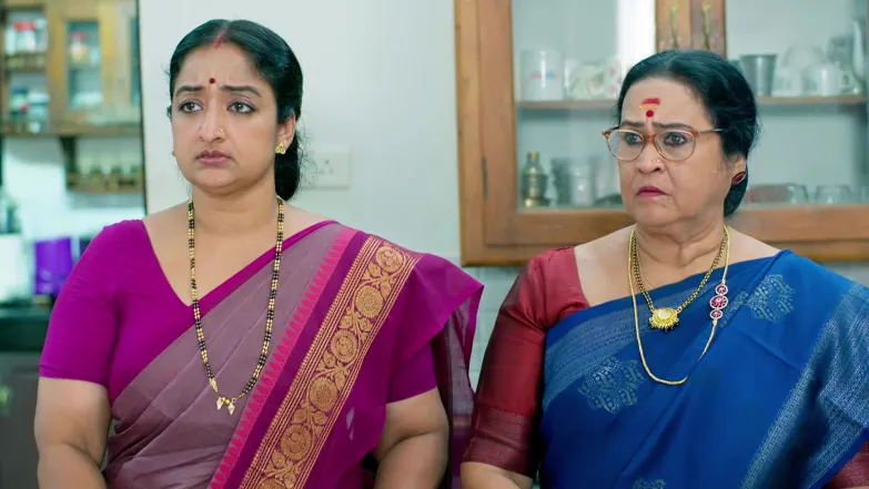 Snehapoorvam Shyama - February 08, 2026 - Episode Spoiler