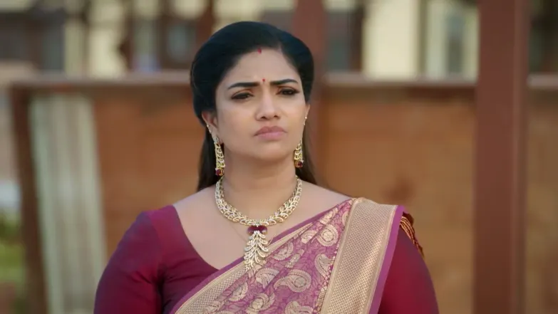 Karthigai Deepam - February 05, 2026 - Best Scene 