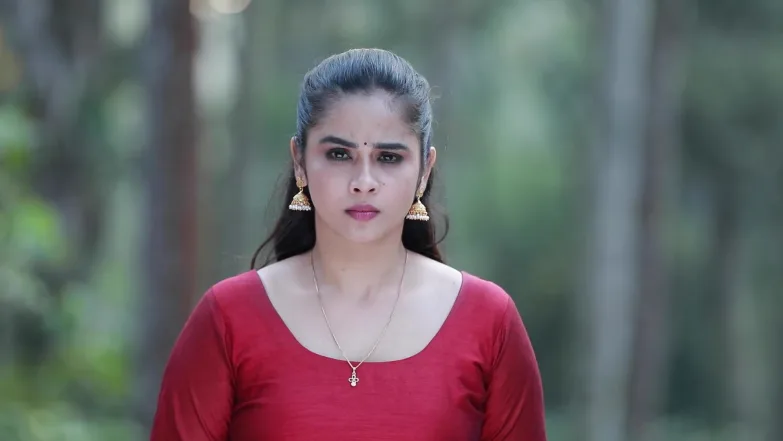 Varisu - February 07, 2026 - Episode Spoiler