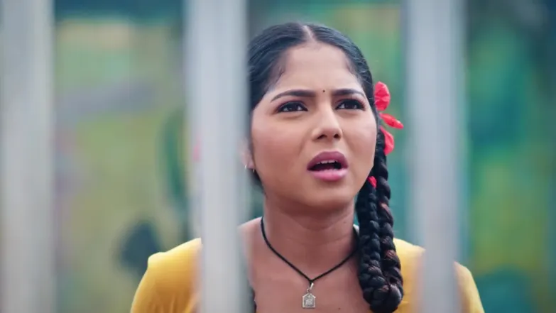 Kamali - February 03, 2026 - Best Scene 