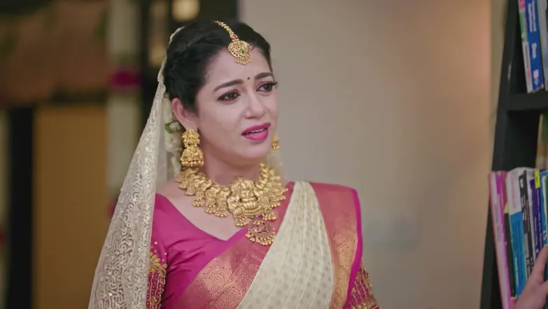 Mahima and Jeevan's Grand Wedding Celebration Episode 14