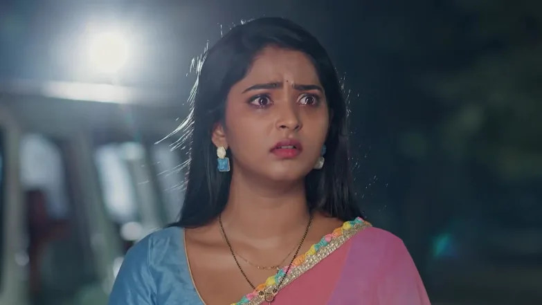 Lakshmi Nivasam - February 10, 2026 - Webisode 10th February 2026 Webisode