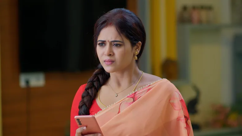 Lakshmi Nivasam - February 12, 2026 - Episode Spoiler