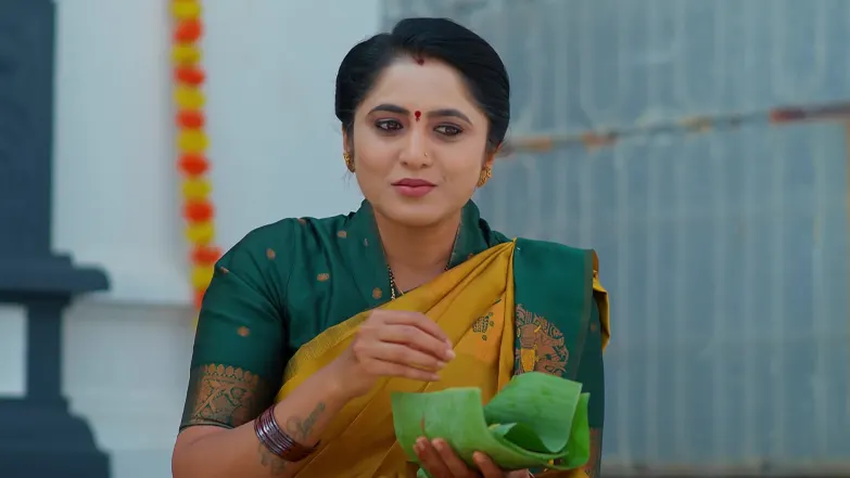 Meghasandesam - February 12, 2026 - Episode Spoiler