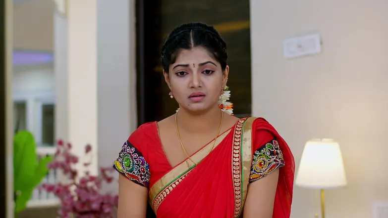 Will Vishal See Kanaka at His House? Episode 27