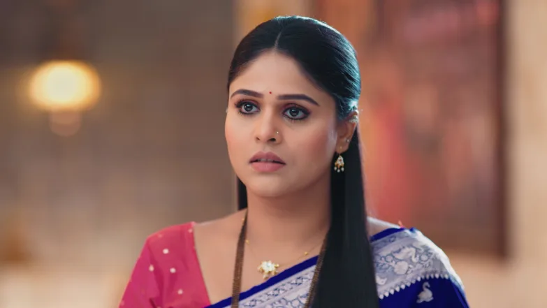 Lakshmi Niwas - February 16, 2026 - Episode Spoiler