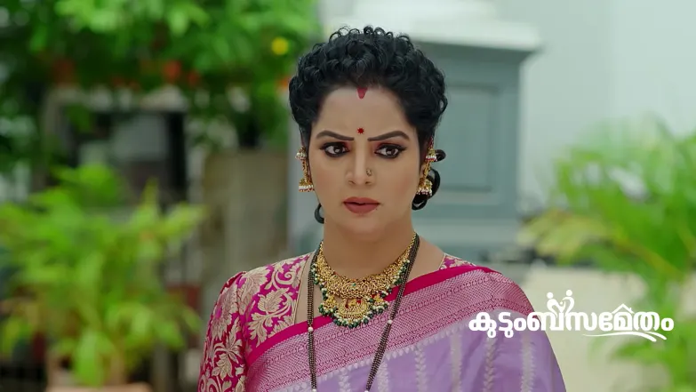 Kudumbasametham - February 25, 2026 Episode 219