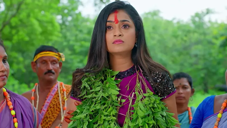 Niranjan Agrees to Marry Maggi Episode 89