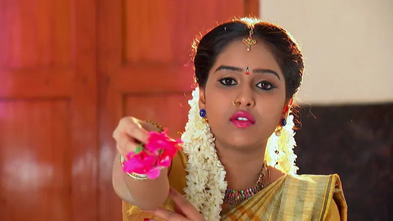 Raktha Sambandha - February 26, 2026 Episode 223