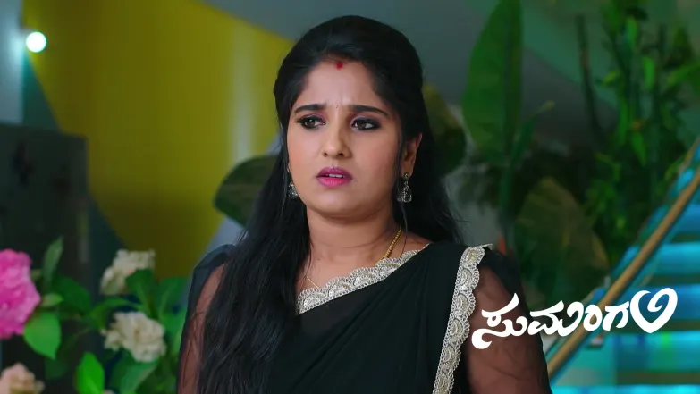 The Police Arrest Prithvi and Nagavalli Episode 313