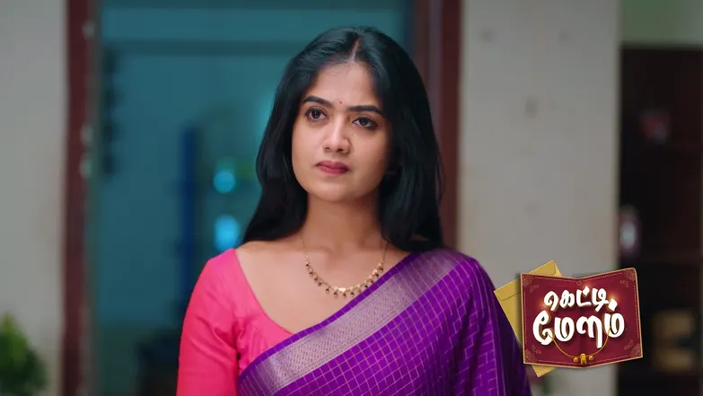 Sathya Misunderstands Subramani Episode 333