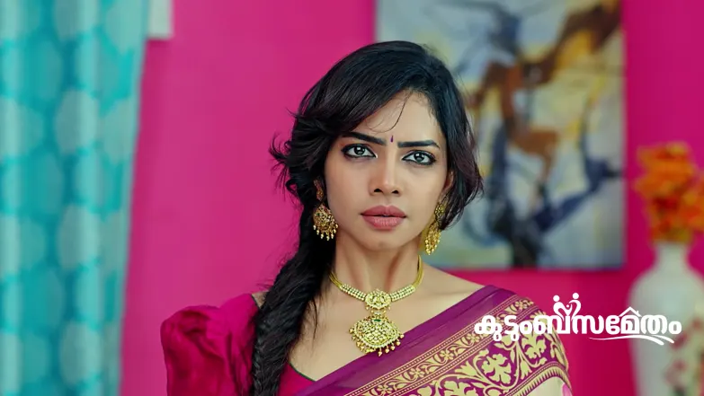 Darshan Makes His Stand Clear to Saranya Episode 229