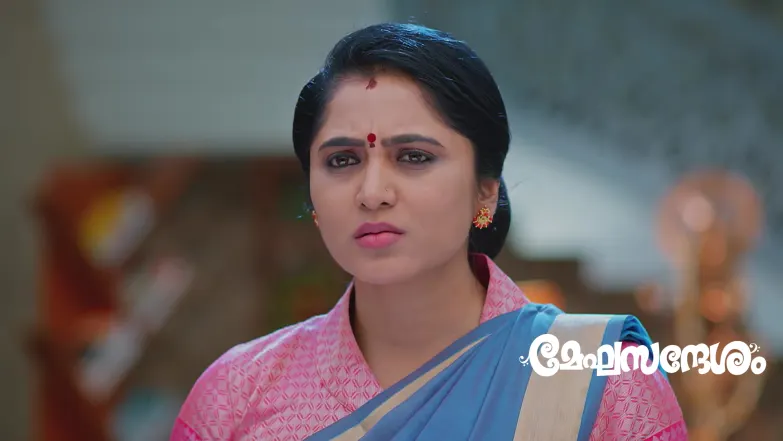 Jagath Gets Furious at Krishna Episode 217