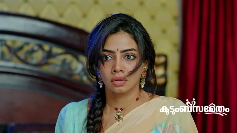 The Village Head Assigns Ananya a Job Episode 239