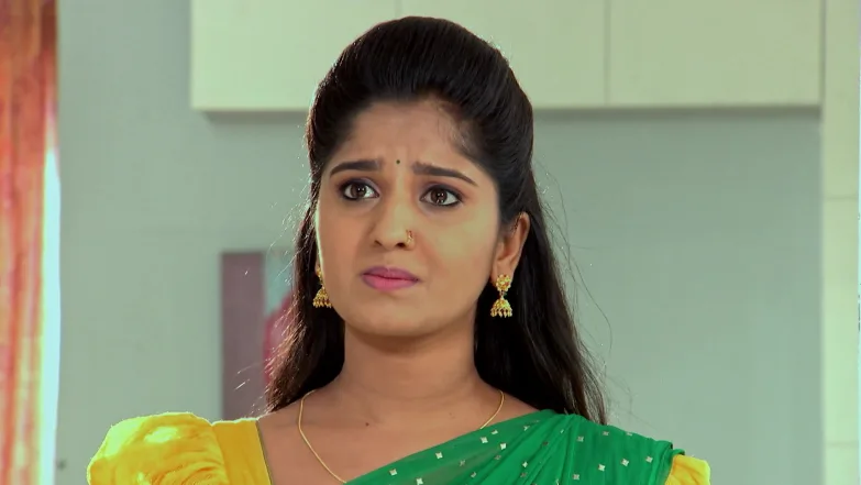 Krishna Learns about Priya's Sacrifice Episode 234