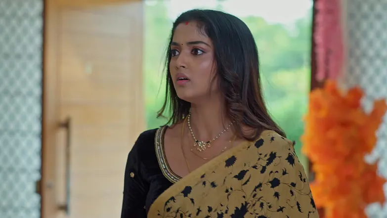 Meghasandesam - March 10, 2026 - Episode Spoiler