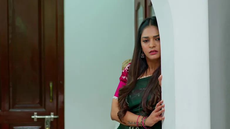 Nindu Noorella Saavasam - March 11, 2026 - Episode Spoiler