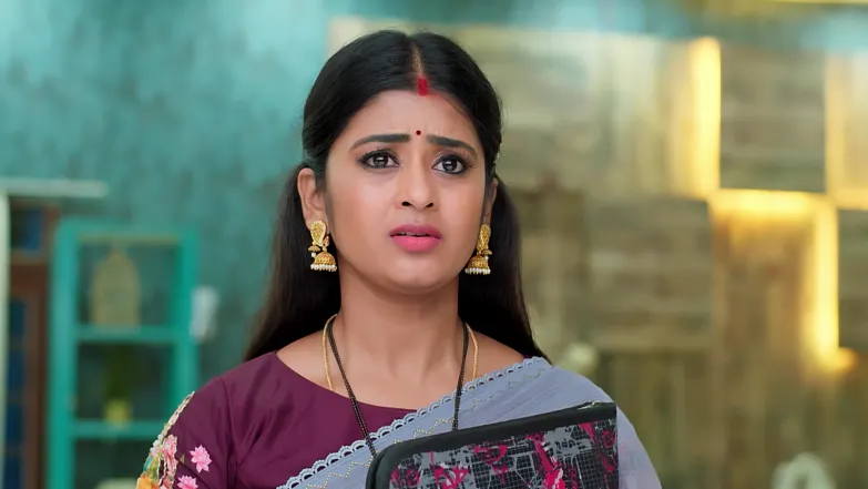 Mithra Gets the Manager Arrested Episode 216