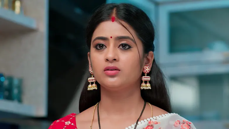 Janavi Clashes with Shalini Episode 218