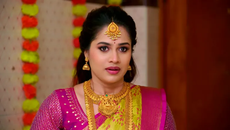 Meenakshi Confronts Pandi Episode 38