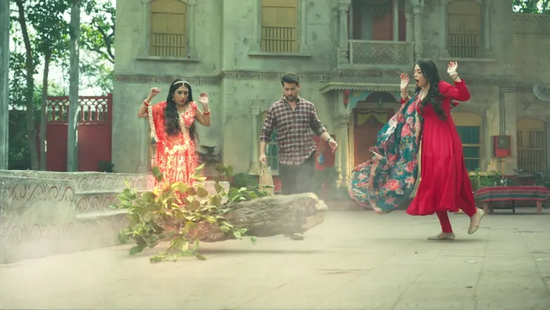 Gharwali Pedwali - March 16, 2026 - Episode Spoiler