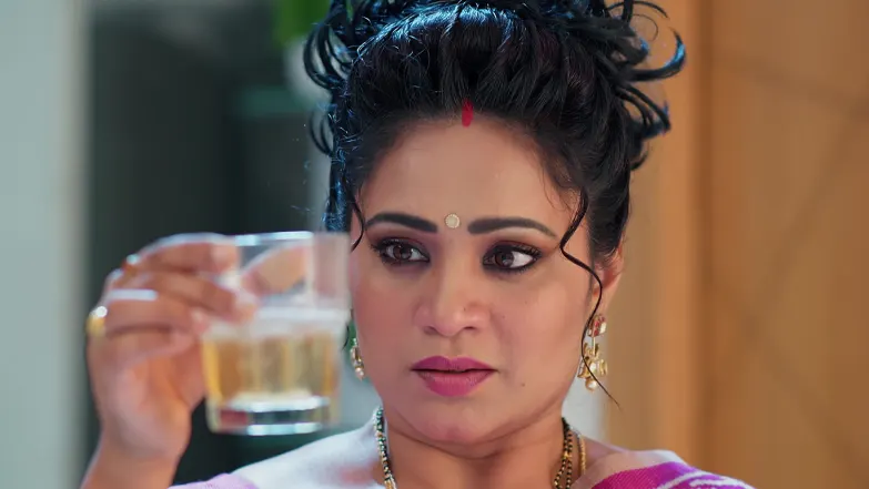 Meghasandesam - March 21, 2026 - Episode Spoiler
