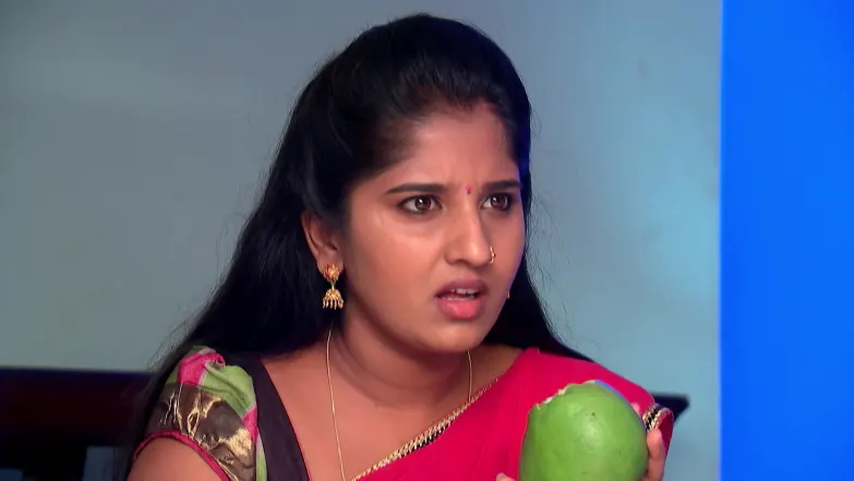 A Surprise for Shrinidhi Episode 245