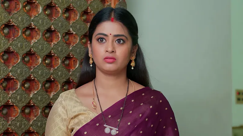 Jaidev Distracts the Family Episode 268