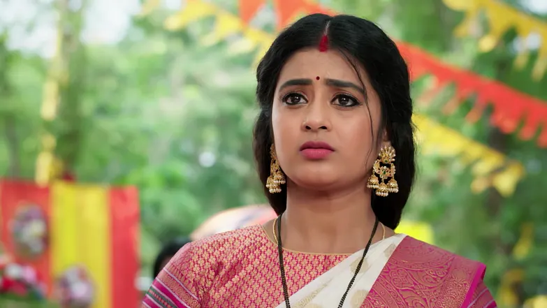 Bhagyalakshmi Defends Mithra Episode 256