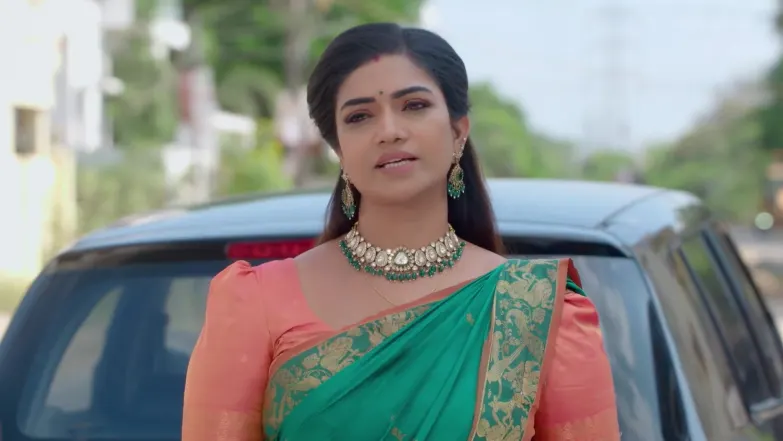 Karthigai Deepam - March 28, 2026 - Best Scene 