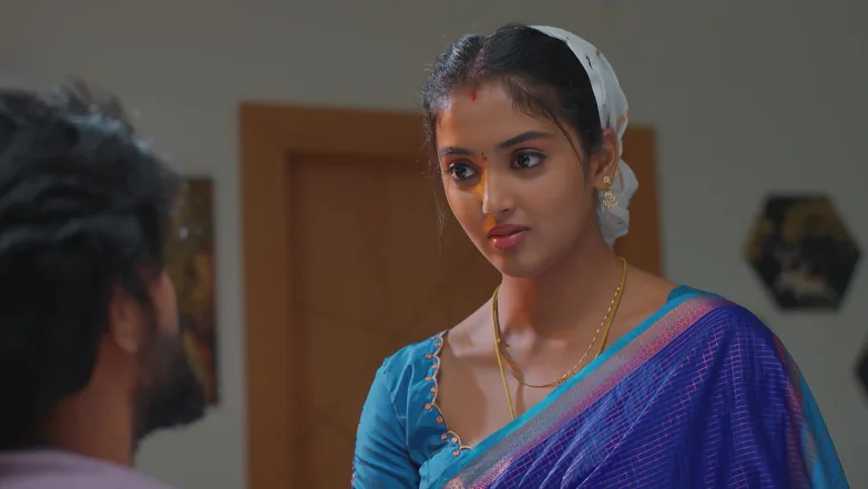 Meghasandesha - March 24, 2026 - Episode Spoiler