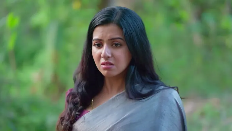 KrishnaGadha - March 27, 2026 - Best Scene 