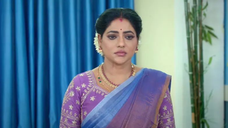 Karthigai Deepam - March 28, 2026 - Episode Spoiler