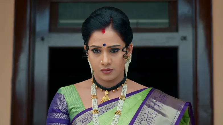 Mane Aliya - April 04, 2026 - Episode Spoiler