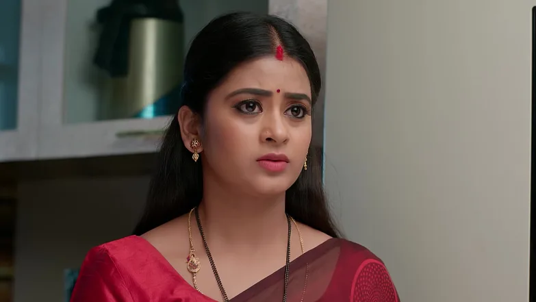 Bhagyalakshmi Receives Her Passport Episode 271