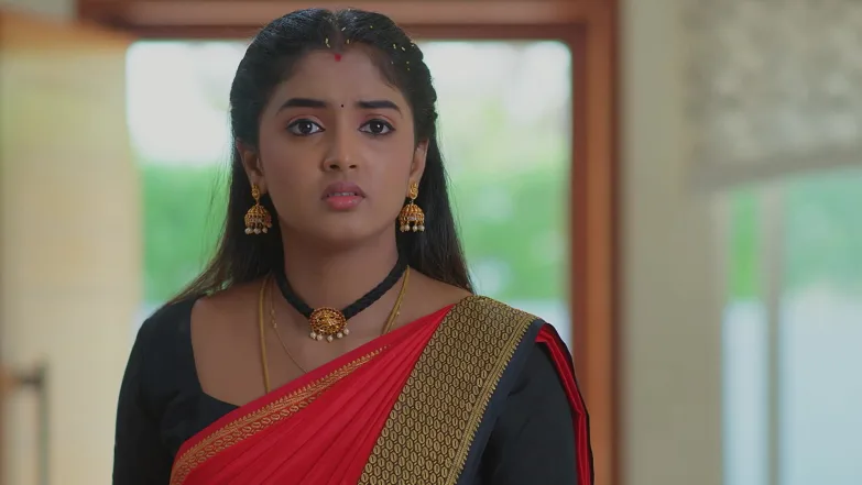 Meghasandesha - April 12, 2026 - Episode Spoiler