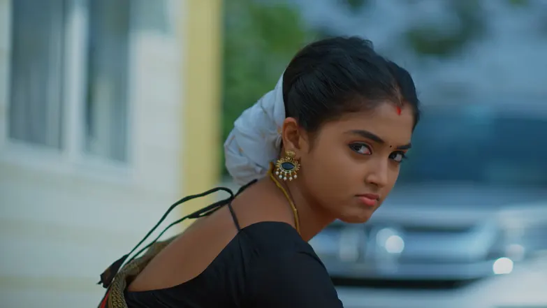 Meghasandesha - April 11, 2026 - Episode Spoiler