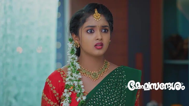 Jagath Rescues Indu Episode 247